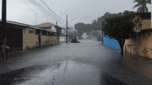 Chuva provoca alagamentos e derruba árvores em São José dos Campos; veja vídeo