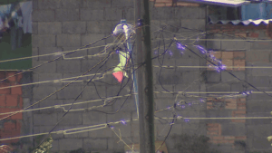 São José lidera casos de pipas na rede elétrica; região tem alta de 42%