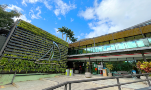 Regional: Ilhabela empossa novos professores e amplia convocações para reforçar rede municipal de ensino