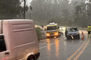 Morre mulher que estava em carro atingido por árvore em Taubaté; ela era militar das Forças Armadas