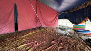 Estragos da chuva: circo fica alagado e teto de pastelaria desaba, em São José dos Campos