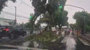 Defesa Civil emite alerta severo para chuva forte no Vale do Paraíba