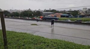 Chuva interdita Dutra em Taubaté e derruba árvores em São José dos Campos