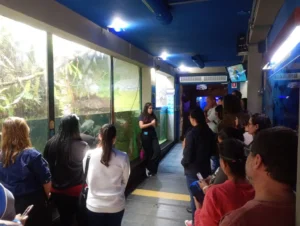 Aquário de Ubatuba Oferece Formação Gratuita