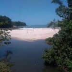 Mortandade de peixes no Rio Maresias