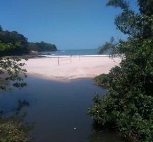 Mortandade de peixes no Rio Maresias