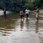 Rio Maresias: peixes mortos e espuma misteriosa