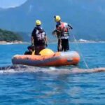 Baleia-jubarte é resgatada após ficar presa em rede de pesca no Litoral Norte de SP; veja vídeo