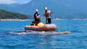Baleia-jubarte é resgatada após ficar presa em rede de pesca no Litoral Norte de SP; veja vídeo