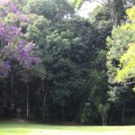 São José dos Campos publica edital de concessão do antigo Horto Florestal por 20 anos; investimento inicial é de R$ 5,5 milhões