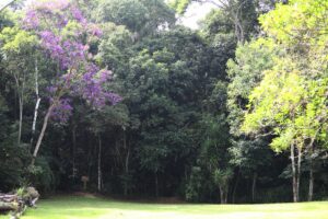 São José dos Campos publica edital de concessão do antigo Horto Florestal por 20 anos; investimento inicial é de R$ 5,5 milhões