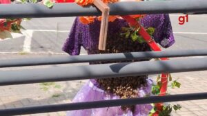 VÍDEO: Enxame de abelhas toma conta de manequim em loja de Taubaté