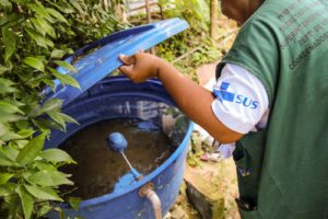 Índice larvário do mosquito da dengue tem queda de 45% em São José; veja o nível de infestação de cada bairro