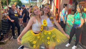 Fadas, salva-vidas e 'Teletubbies': veja fotos das fantasias dos foliões neste sábado de carnaval em São Luiz do Paraitinga