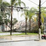 Chuva em Taubaté causa quedas de árvore e de estruturas de escola