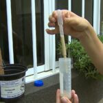 Armadilha contra mosquito da dengue: veja como funciona mapeamento de casos em São José dos Campos