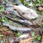 Sabesp é multada em R$ 100 mil