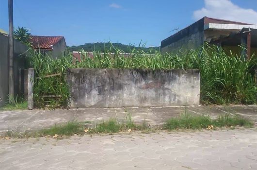 Prefeitura intensifica limpeza urbana e convoca moradores a cuidar da cidade em Caraguatatuba