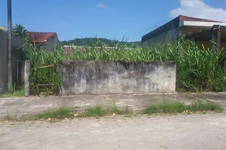 Caraguatatuba Limpiza Ruas e Cobra Participação dos Moradores