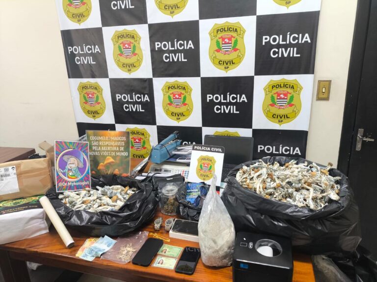 Polícia desmonta laboratório de cogumelos mágicos