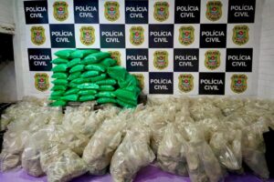 Polícia Civil encontra cogumelos mágicos em Ubatuba