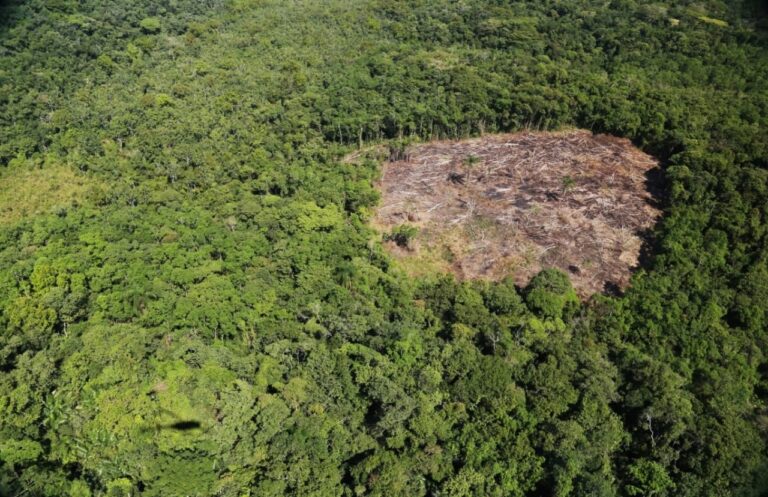 São Paulo aumenta controle ambiental com tecnologia avançada