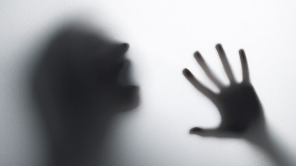 Câmara aprova tornozeleira eletrônica para suspeitos de agressão