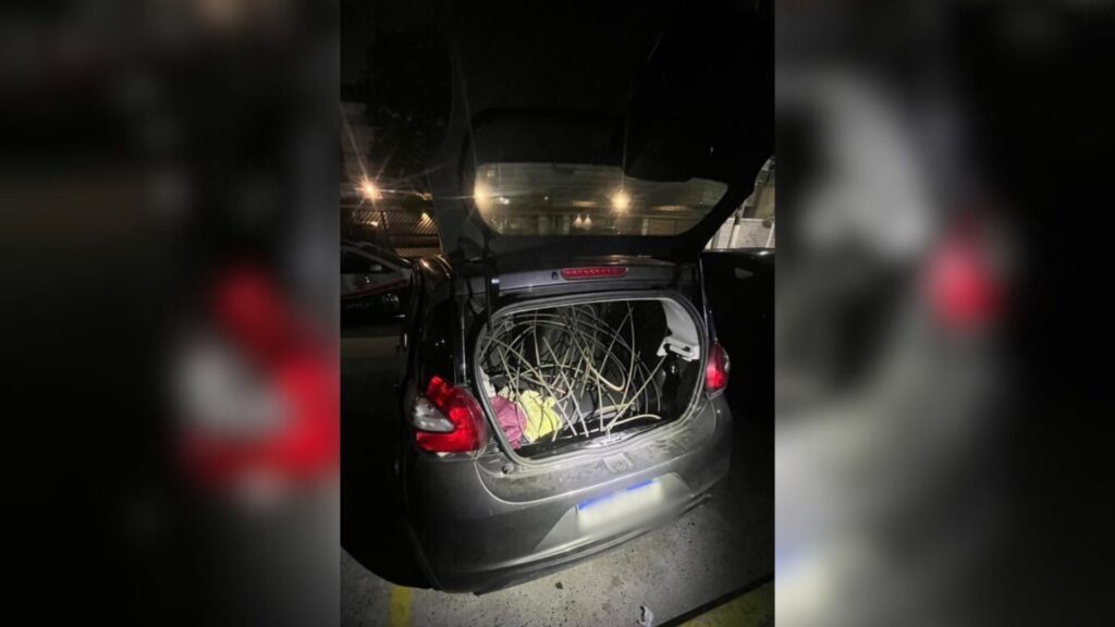 Câmeras de monitoramento prendem suspeitos de furto em Santos