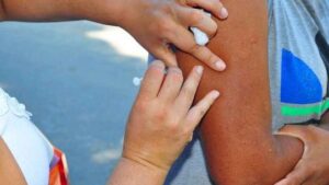 Caraguatatuba Vacina Contra Febre Amarela