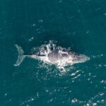 São Sebastião é destaque internacional em turismo sustentável