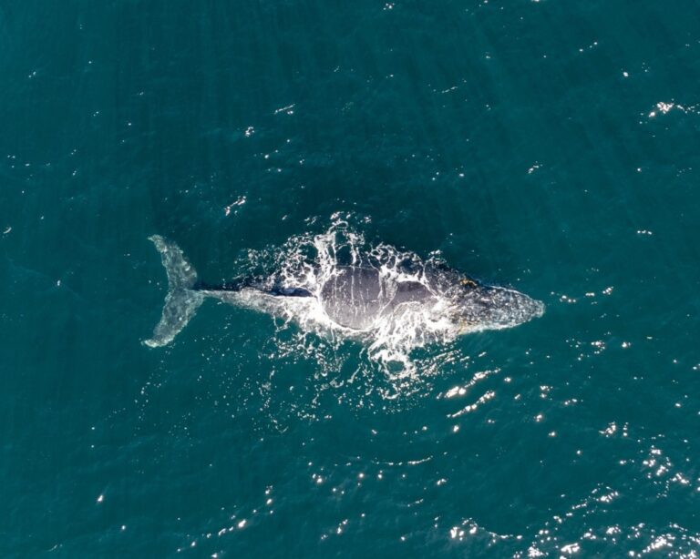 São Sebastião é destaque internacional em turismo sustentável