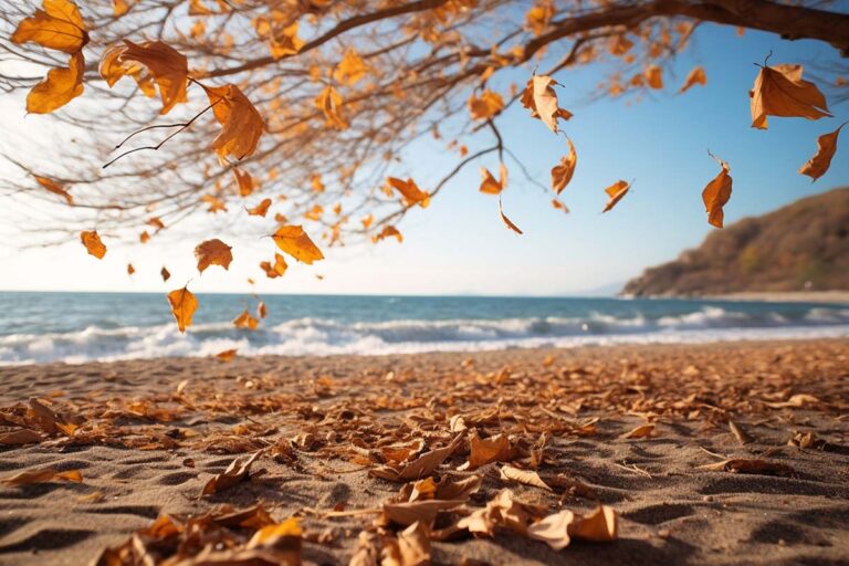 Fim de semana quente e estável no Litoral Norte