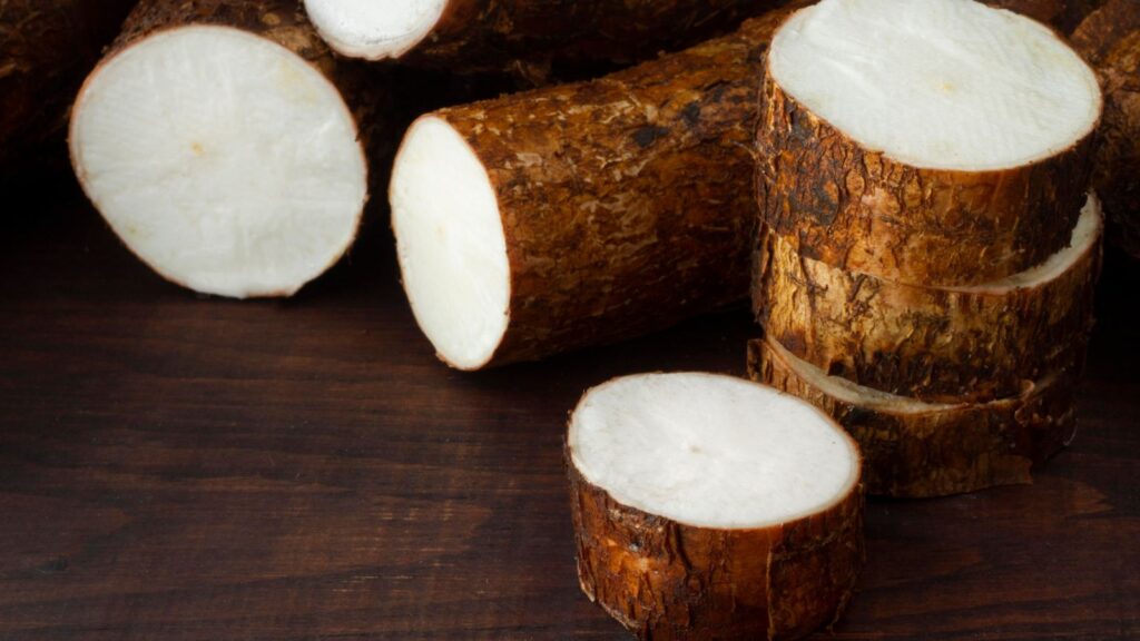 Mandioca, uma fonte de saúde se preparada corretamente