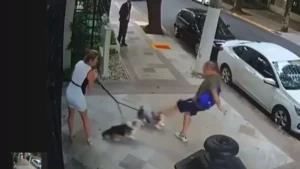 Aposentado é condenado por agredir cães do ministro Zanin