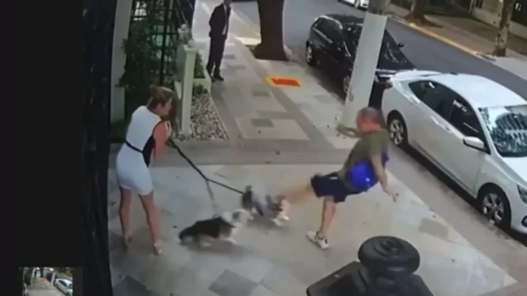 Aposentado é condenado por agredir cães do ministro Zanin