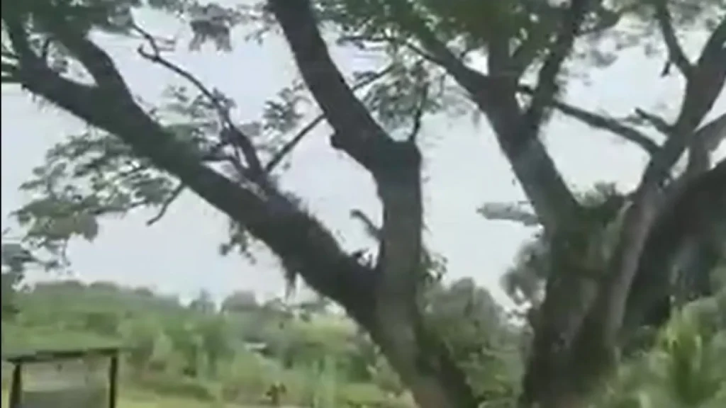 66 mortos em acidente de avião militar na Colômbia