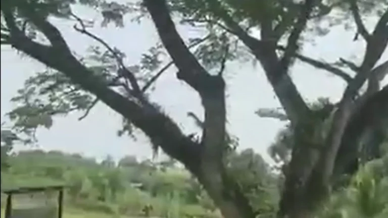 66 mortos em acidente de avião militar na Colômbia