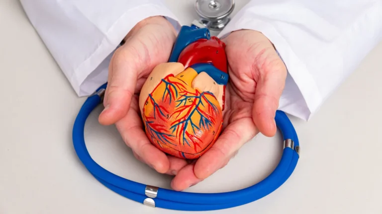 Alimentos ricos em proteína protegem o coração com eficiência