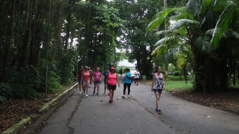 Santos: Passeio histórico e ambiental no Jardim Botânico