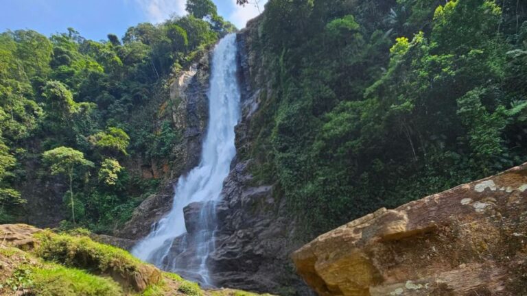 Cubatão é escolhida como referência mundial na preservação ambiental