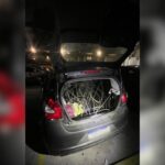 Câmeras de monitoramento prendem suspeitos de furto em Santos