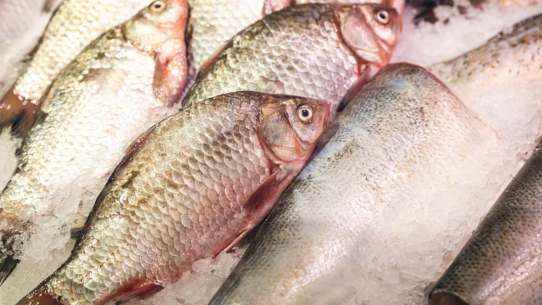 Vírus da tilápia: o que é o Tilapia Lake Virus e por que preocupa