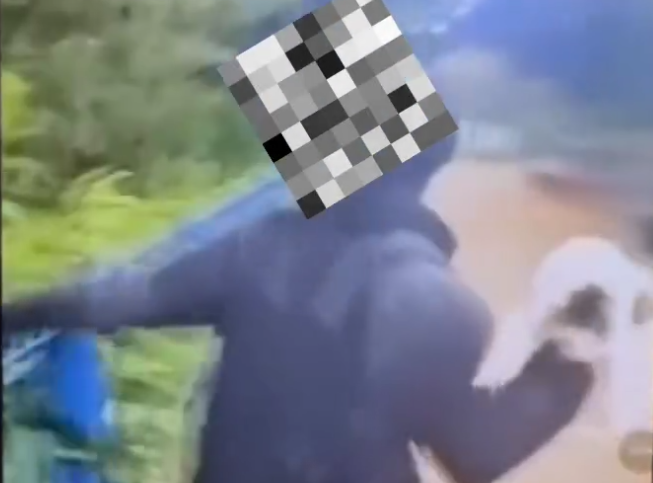 Gata é arremessada ao Rio Paraitinga e é encontrada viva