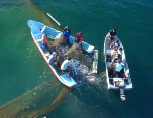 São Sebastião auge turismo comunitário para preservar cultura caiçara