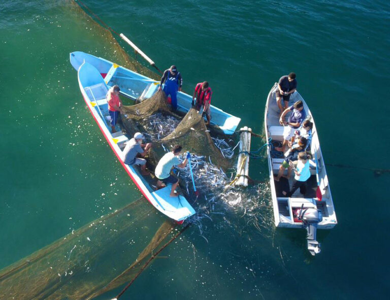 São Sebastião auge turismo comunitário para preservar cultura caiçara
