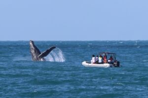 Ilhabela é destaque em prêmio por projeto de turismo responsável