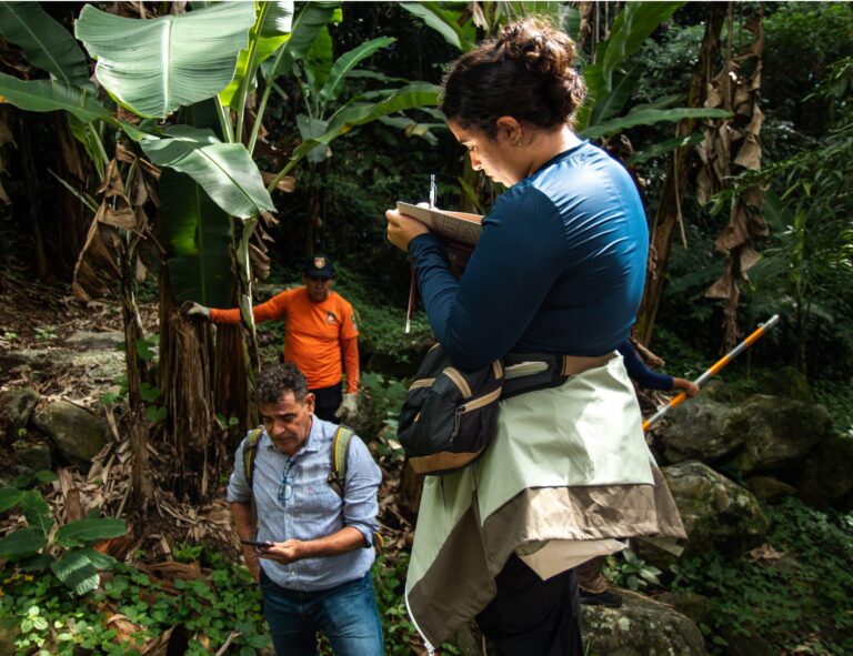 Barreira contra detritos no Morro do Abrigo avança com tecnologia japonesa