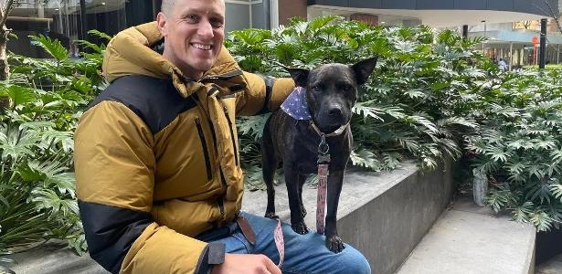 Australiano usa IA para salvar cadela do câncer