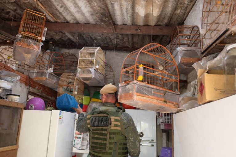 Dono de cativeiro ilegal de aves é multado em R$ 20.500
