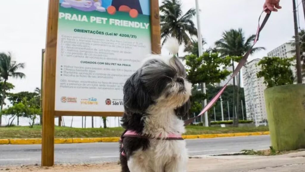 São Vicente terá parque pet na orla da praia do Itararé; saiba detalhes do projeto